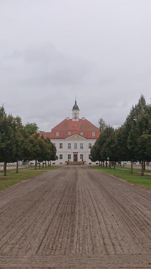Fewo In Neustadt/Dosse, Der Stadt Der Pferde Leddin Exterior photo